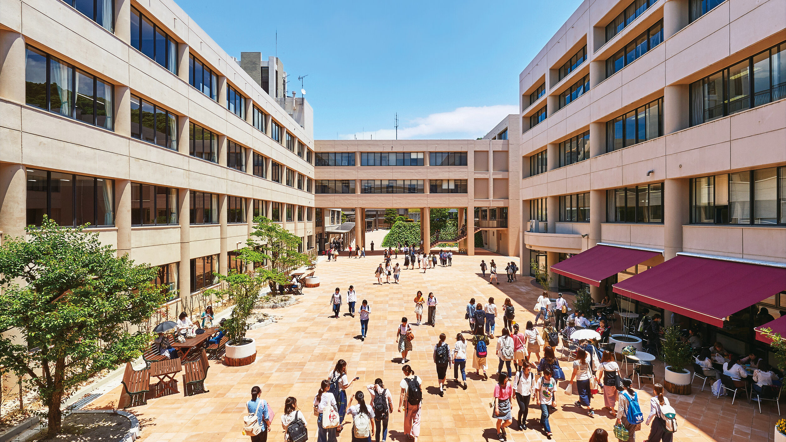 筑紫 女 学園 大学